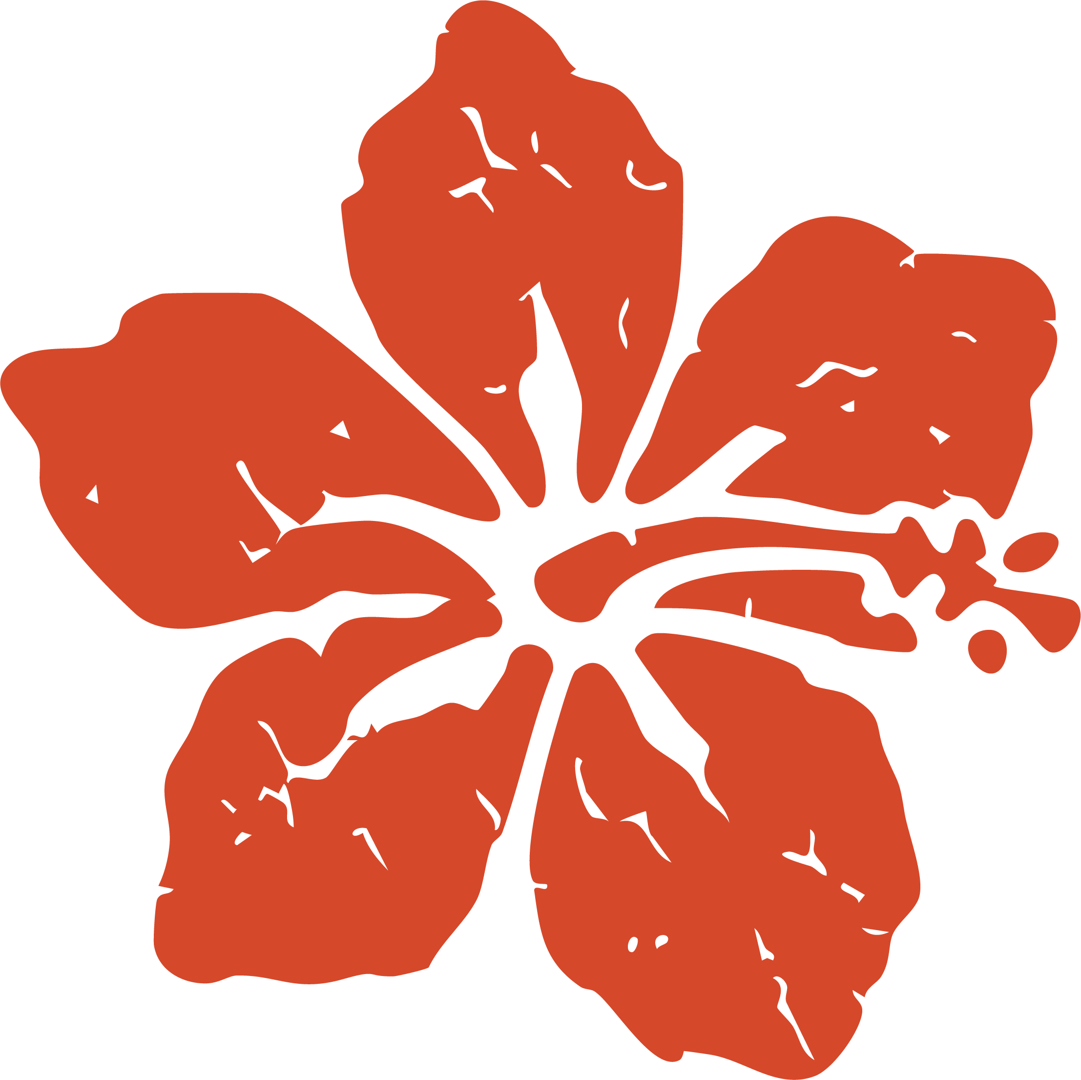 Product badge 22:05:36 02/12/2026