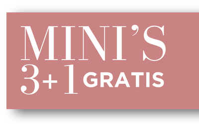 mini's 3+1