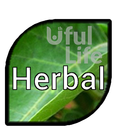 Product badge 23:06:46 12/20/2025